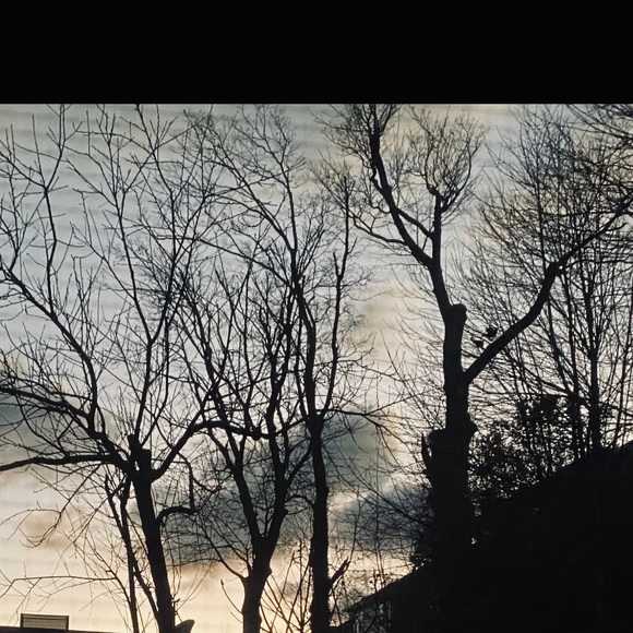 Meet your Posher, Laura - Picture 5 of 5